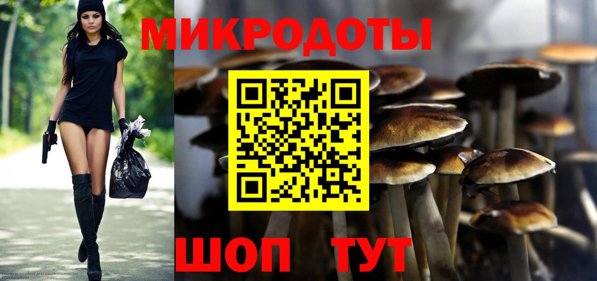Галлюциногенные грибы Cubensis Комсомольск-на-Амуре